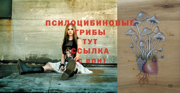 спайс Саяногорск