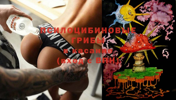 экстази Каменка