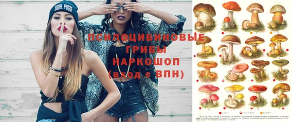 экстази Каменка