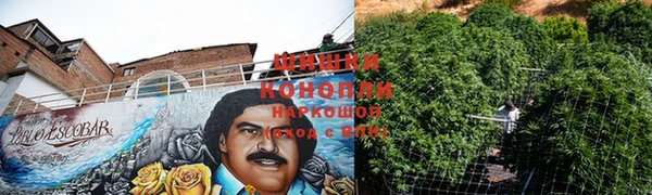 экстази Каменка