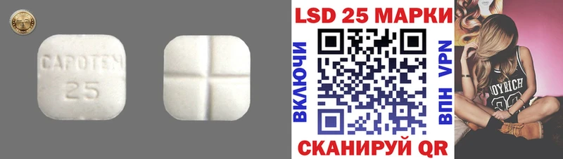 Купить закладки  Верея  ЛСД экстази кислота 
