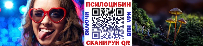 Купить где  Верея  Галлюциногенные грибы мицелий 